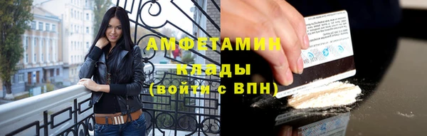 твердый Долгопрудный