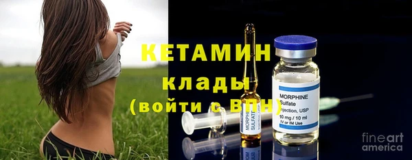 твердый Долгопрудный