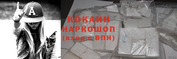 твердый Долгопрудный