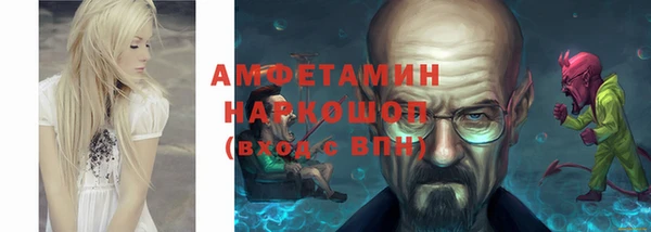 твердый Долгопрудный