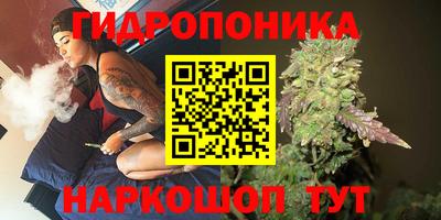 мдпв Волгодонск