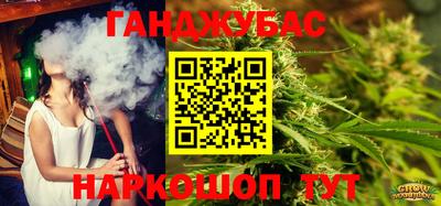 Альфа ПВП Бийск