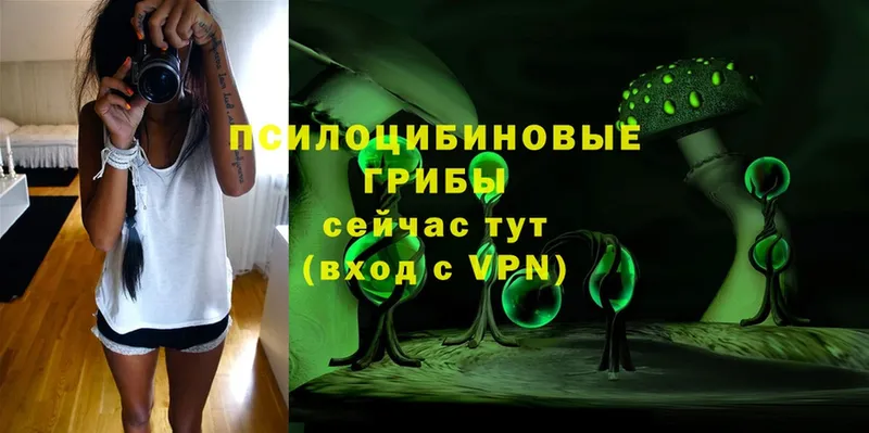 купить  сайты  blacksprut как войти  Галлюциногенные грибы мицелий  Егорьевск 