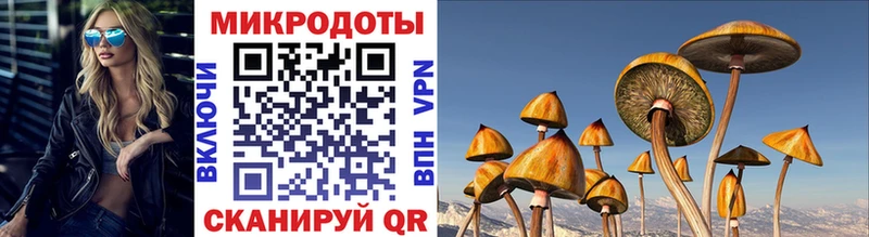 darknet официальный сайт  Егорьевск  Галлюциногенные грибы GOLDEN TEACHER 