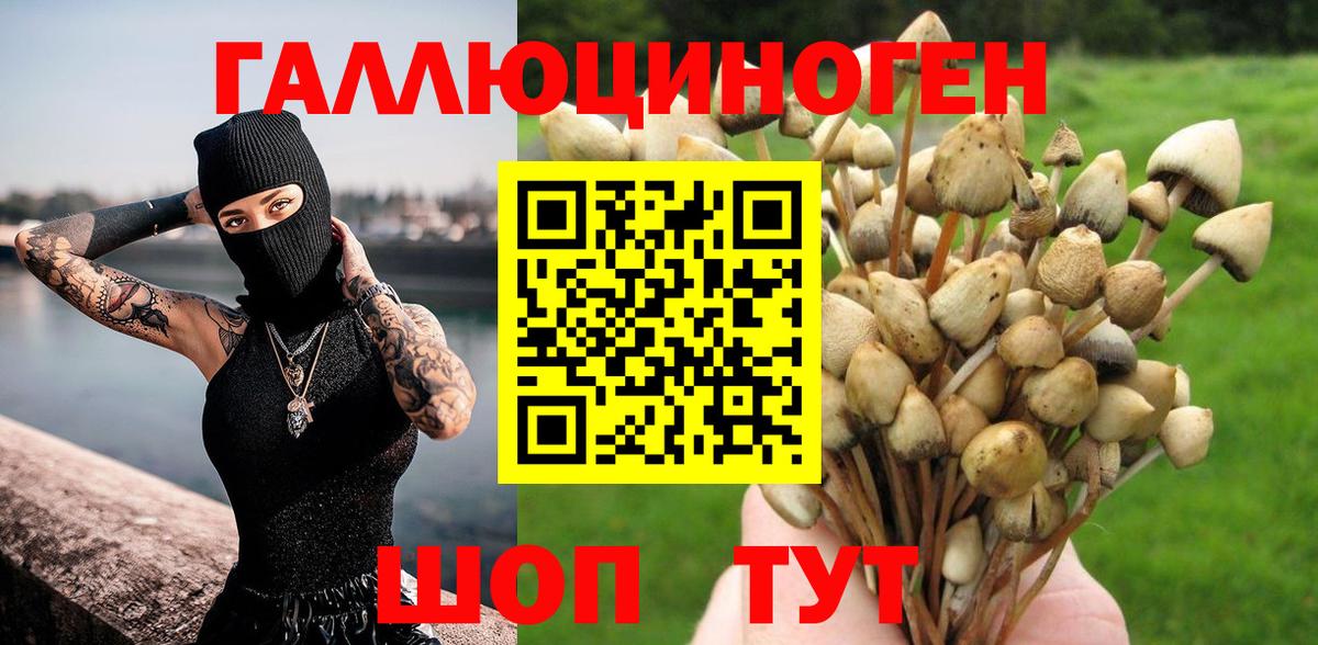 Псилоцибиновые грибы мицелий  Егорьевск  Псилоцибиновые грибы Cubensis 