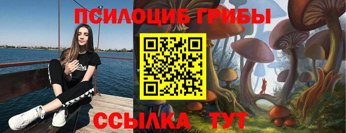 Псилоцибиновые грибы мухоморы Егорьевск