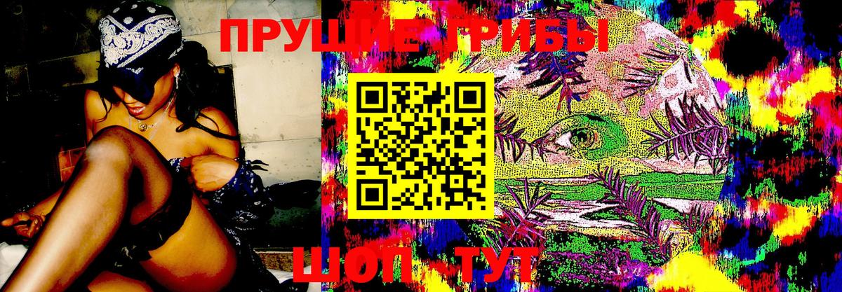 КОКАИН  А ПВП СК кристаллы  ГАШИШ  Канабис  Вход с VPN  МЕФ кристаллы  Егорьевск  Гашиш  Купить наркотик  NBOMe 