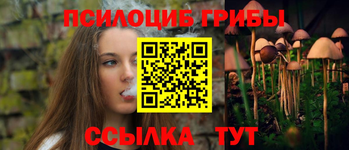 Галлюциногенные грибы Psilocybine cubensis  Вход с VPN  купить наркотики сайты  Егорьевск 